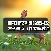 猫咪吃软磷脂的效果及注意事项（软磷脂对猫咪的健康有何影响，怎样正确喂养）（图2）