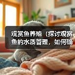 观赏鱼养殖（探讨观赏鱼的水质管理，如何确定换水的频率）（图2）