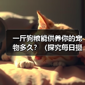 一斤狗粮能供养你的宠物多久？（探究每日摄入量及宠物体重的关系）（图2）