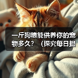 一斤狗粮能供养你的宠物多久？（探究每日摄入量及宠物体重的关系）（图3）