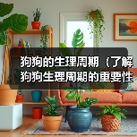 狗狗的生理周期（了解狗狗生理周期的重要性与常见问题）（图3）
