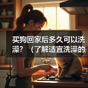 买狗回家后多久可以洗澡？（了解适宜洗澡的时机，让你的狗狗健康舒适）（图1）