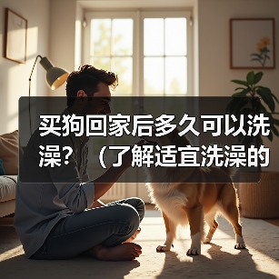 买狗回家后多久可以洗澡？（了解适宜洗澡的时机，让你的狗狗健康舒适）（图4）