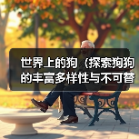 世界上的狗（探索狗狗的丰富多样性与不可替代的情感纽带）（图3）