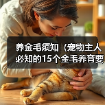 养金毛须知（宠物主人必知的15个金毛养育要点）（图3）