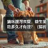 猫咪腹泻恢复，益生菌吃多久才有效？（解析猫咪腹泻的原因，详解益生菌的作用和使用方法）（图3）