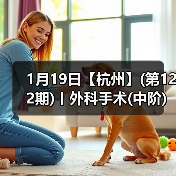 1月19日【杭州】(第122期)丨外科手术(中阶)实战班,2人/组提供一猫一狗,实操超多!(图3) 1月19日【杭州】(第122期)丨外科手术(中阶)实战班,2人/组提供一猫一狗,实操超多!(图3)