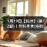 1月19日【杭州】(第122期)丨外科手术(中阶)实战班,2人/组提供一猫一狗,实操超多!(图1) 1月19日【杭州】(第122期)丨外科手术(中阶)实战班,2人/组提供一猫一狗,实操超多!(图1)