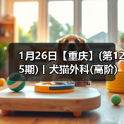 1月26日【重庆】(第125期)丨犬猫外科(高阶)班！含SUB(人人可实操)、乳糜胸等技术！（图1）