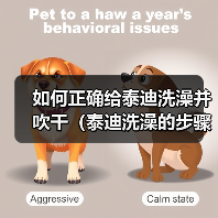 如何正确给泰迪洗澡并吹干(泰迪洗澡的步骤和技巧,让它爱上洗澡)(图2) 如何正确给泰迪洗澡并吹干(泰迪洗澡的步骤和技巧,让它爱上洗澡)(图2)
