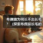 布偶猫为何长不出长毛？（探索布偶猫长毛的原因和特点）（图3）