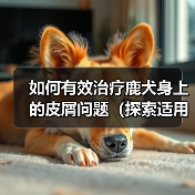 如何有效治疗鹿犬身上的皮屑问题(探索适用于鹿犬皮屑问题的药物及方法)(图2) 如何有效治疗鹿犬身上的皮屑问题(探索适用于鹿犬皮屑问题的药物及方法)(图2)