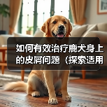 如何有效治疗鹿犬身上的皮屑问题(探索适用于鹿犬皮屑问题的药物及方法)(图4) 如何有效治疗鹿犬身上的皮屑问题(探索适用于鹿犬皮屑问题的药物及方法)(图4)