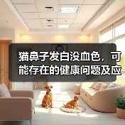 猫鼻子发白没血色,可能存在的健康问题及应对方法(探究猫鼻子发白没血色的原因和治疗方案)(图1) 猫鼻子发白没血色,可能存在的健康问题及应对方法(探究猫鼻子发白没血色的原因和治疗方案)(图1)