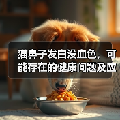 猫鼻子发白没血色,可能存在的健康问题及应对方法(探究猫鼻子发白没血色的原因和治疗方案)(图3) 猫鼻子发白没血色,可能存在的健康问题及应对方法(探究猫鼻子发白没血色的原因和治疗方案)(图3)