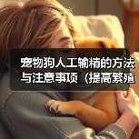 宠物狗人工输精的方法与注意事项（提高繁殖效率的关键技巧与建议）（图1）
