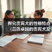 探究贵宾犬的性格特点(品质卓越的贵宾犬及其表现)(图3) 探究贵宾犬的性格特点(品质卓越的贵宾犬及其表现)(图3)