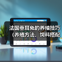 法国垂耳兔的养殖技巧(养殖方法、饲料搭配、疾病防治等)(图4) 法国垂耳兔的养殖技巧(养殖方法、饲料搭配、疾病防治等)(图4)