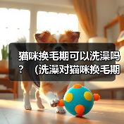 猫咪换毛期可以洗澡吗?(洗澡对猫咪换毛期的影响和注意事项)(图4) 猫咪换毛期可以洗澡吗?(洗澡对猫咪换毛期的影响和注意事项)(图4)