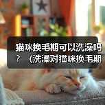 猫咪换毛期可以洗澡吗?(洗澡对猫咪换毛期的影响和注意事项)(图3) 猫咪换毛期可以洗澡吗?(洗澡对猫咪换毛期的影响和注意事项)(图3)