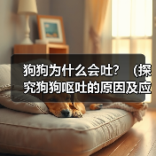 狗狗为什么会吐？（探究狗狗呕吐的原因及应对方法）（图4）