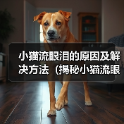 小猫流眼泪的原因及解决方法(揭秘小猫流眼泪的背后问题,帮助你拯救它的眼泪)(图4) 小猫流眼泪的原因及解决方法(揭秘小猫流眼泪的背后问题,帮助你拯救它的眼泪)(图4)