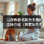 以灰色卷毛狗为主题的品种介绍（探索灰色卷毛狗的独特魅力）（图2）