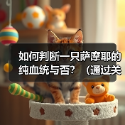 如何判断一只萨摩耶的纯血统与否?(通过关键特征和基因检测来确定纯种与混种的方式)(图1) 如何判断一只萨摩耶的纯血统与否?(通过关键特征和基因检测来确定纯种与混种的方式)(图1)