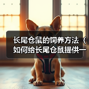 长尾仓鼠的饲养方法（如何给长尾仓鼠提供一个健康幸福的家园）（图2）