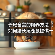长尾仓鼠的饲养方法（如何给长尾仓鼠提供一个健康幸福的家园）（图3）