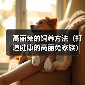 高丽兔的饲养方法(打造健康的高丽兔家族)(图4) 高丽兔的饲养方法(打造健康的高丽兔家族)(图4)