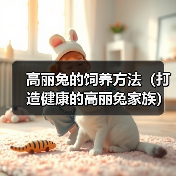 高丽兔的饲养方法(打造健康的高丽兔家族)(图3) 高丽兔的饲养方法(打造健康的高丽兔家族)(图3)