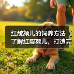 红靛颏儿的饲养方法(了解红靛颏儿,打造完美宠物生活)(图1) 红靛颏儿的饲养方法(了解红靛颏儿,打造完美宠物生活)(图1)