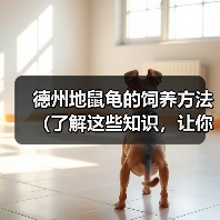 德州地鼠龟的饲养方法(了解这些知识,让你的德州地鼠龟健康快乐成长)(图4) 德州地鼠龟的饲养方法(了解这些知识,让你的德州地鼠龟健康快乐成长)(图4)