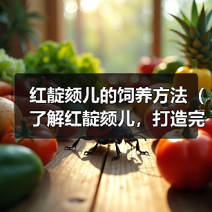 红靛颏儿的饲养方法(了解红靛颏儿,打造完美宠物生活)(图4) 红靛颏儿的饲养方法(了解红靛颏儿,打造完美宠物生活)(图4)