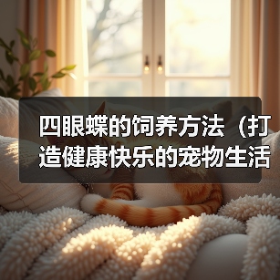 四眼蝶的饲养方法(打造健康快乐的宠物生活)(图3) 四眼蝶的饲养方法(打造健康快乐的宠物生活)(图3)