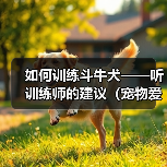 如何训练斗牛犬——听训练师的建议(宠物爱好者必看,斗牛犬训练全攻略)(图4) 如何训练斗牛犬——听训练师的建议(宠物爱好者必看,斗牛犬训练全攻略)(图4)
