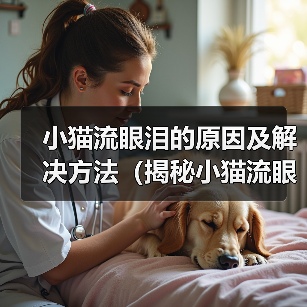 小猫流眼泪的原因及解决方法(揭秘小猫流眼泪的背后问题,帮助你拯救它的眼泪)(图3) 小猫流眼泪的原因及解决方法(揭秘小猫流眼泪的背后问题,帮助你拯救它的眼泪)(图3)