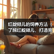 红靛颏儿的饲养方法(了解红靛颏儿,打造完美宠物生活)(图3) 红靛颏儿的饲养方法(了解红靛颏儿,打造完美宠物生活)(图3)