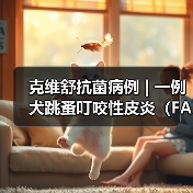 克维舒抗菌病例 | 一例犬跳蚤叮咬性皮炎(FAD)的病例分析(图3) 克维舒抗菌病例 | 一例犬跳蚤叮咬性皮炎(FAD)的病例分析(图3)