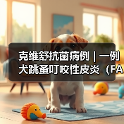 克维舒抗菌病例 | 一例犬跳蚤叮咬性皮炎(FAD)的病例分析(图2) 克维舒抗菌病例 | 一例犬跳蚤叮咬性皮炎(FAD)的病例分析(图2)