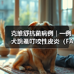 克维舒抗菌病例 | 一例犬跳蚤叮咬性皮炎(FAD)的病例分析(图1) 克维舒抗菌病例 | 一例犬跳蚤叮咬性皮炎(FAD)的病例分析(图1)