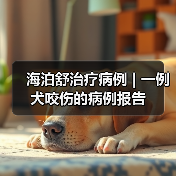 海泊舒治疗病例 | 一例犬咬伤的病例报告(图4) 海泊舒治疗病例 | 一例犬咬伤的病例报告(图4)