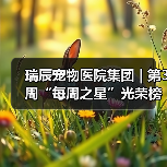瑞辰宠物医院集团 | 第3周“每周之星”光荣榜(图4) 瑞辰宠物医院集团 | 第3周“每周之星”光荣榜(图4)