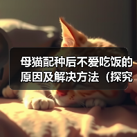 母猫配种后不爱吃饭的原因及解决方法(探究母猫配种后食欲减退的可能原因,并提供有效的解决方案)(图1) 母猫配种后不爱吃饭的原因及解决方法(探究母猫配种后食欲减退的可能原因,并提供有效的解决方案)(图1)