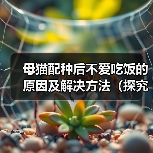母猫配种后不爱吃饭的原因及解决方法(探究母猫配种后食欲减退的可能原因,并提供有效的解决方案)(图2) 母猫配种后不爱吃饭的原因及解决方法(探究母猫配种后食欲减退的可能原因,并提供有效的解决方案)(图2)