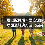 母猫配种后不爱吃饭的原因及解决方法(探究母猫配种后食欲减退的可能原因,并提供有效的解决方案)(图3) 母猫配种后不爱吃饭的原因及解决方法(探究母猫配种后食欲减退的可能原因,并提供有效的解决方案)(图3)