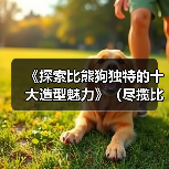 《探索比熊狗独特的十大造型魅力》（尽揽比熊萌态，一览十款独具特色的造型艺术品）（图1）