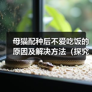 母猫配种后不爱吃饭的原因及解决方法(探究母猫配种后食欲减退的可能原因,并提供有效的解决方案)(图4) 母猫配种后不爱吃饭的原因及解决方法(探究母猫配种后食欲减退的可能原因,并提供有效的解决方案)(图4)