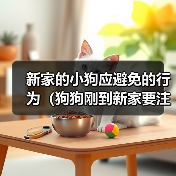 新家的小狗应避免的行为(狗狗刚到新家要注意的事项)(图4) 新家的小狗应避免的行为(狗狗刚到新家要注意的事项)(图4)